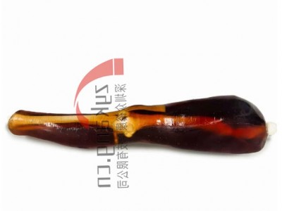 KE-A02成人膝关节模体图2