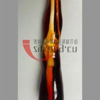 KE-A02成人膝关节模体