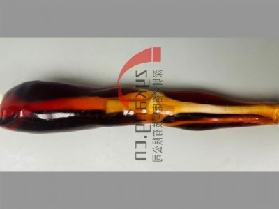 KE-A02成人膝关节模体图4