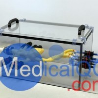 HT-A01成人心脏模体