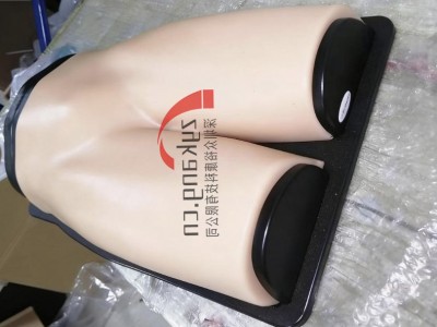 BPF1500-HP血管通路和区域麻醉超声训练模体图2