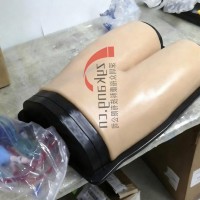 BPF1500-HP血管通路和区域麻醉超声训练模体
