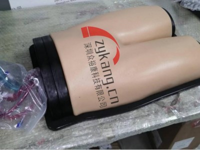 BPF1500-HP血管通路和区域麻醉超声训练模体图6