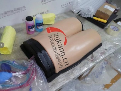 BPF1500-HP血管通路和区域麻醉超声训练模体图5