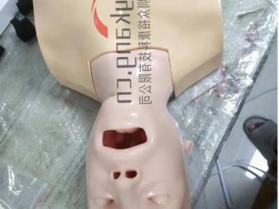 WEK-B05内窥镜支气管模体图5