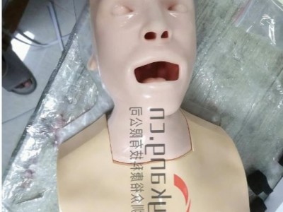WEK-B05内窥镜支气管模体图4