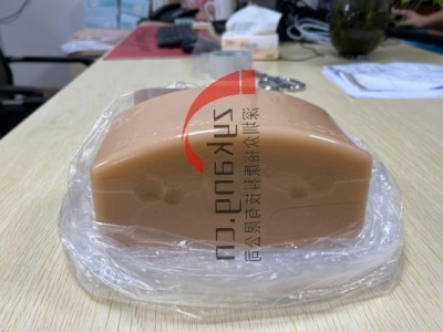 BPT195甲状腺穿刺模型图4