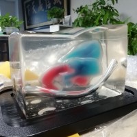 CAE Blue Phantom心脏回声超声训练模体