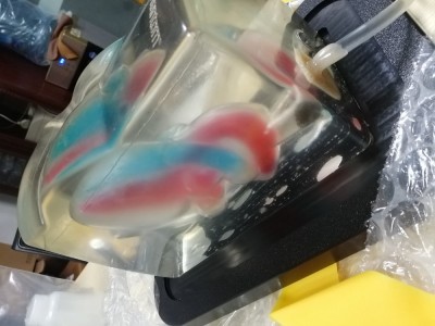 CAE Blue Phantom心脏回声超声训练模体图3