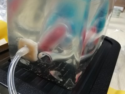 CAE Blue Phantom心脏回声超声训练模体图2