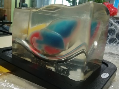 CAE Blue Phantom心脏回声超声训练模体图4