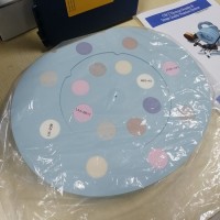 062M 电子密度模体