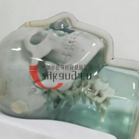 603-GS MR失真和图像融合头部模体