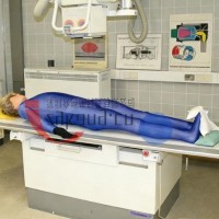 德国Erler Zimmer 7200天然骨骼全身模体