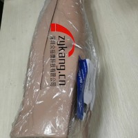 CAE BPLNB651单腿模型
