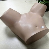BPOB1227经阴道超声训练模型